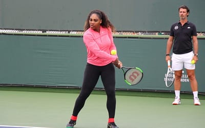 Understanding Serena Williams from a Different Perspective   